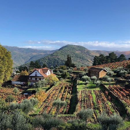 Quinta Vila Rachel - Winery Sao Mamede de Ribatua Εξωτερικό φωτογραφία