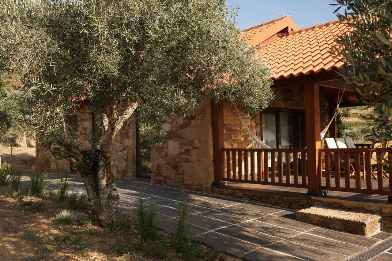 Quinta Vila Rachel - Winery Sao Mamede de Ribatua Εξωτερικό φωτογραφία
