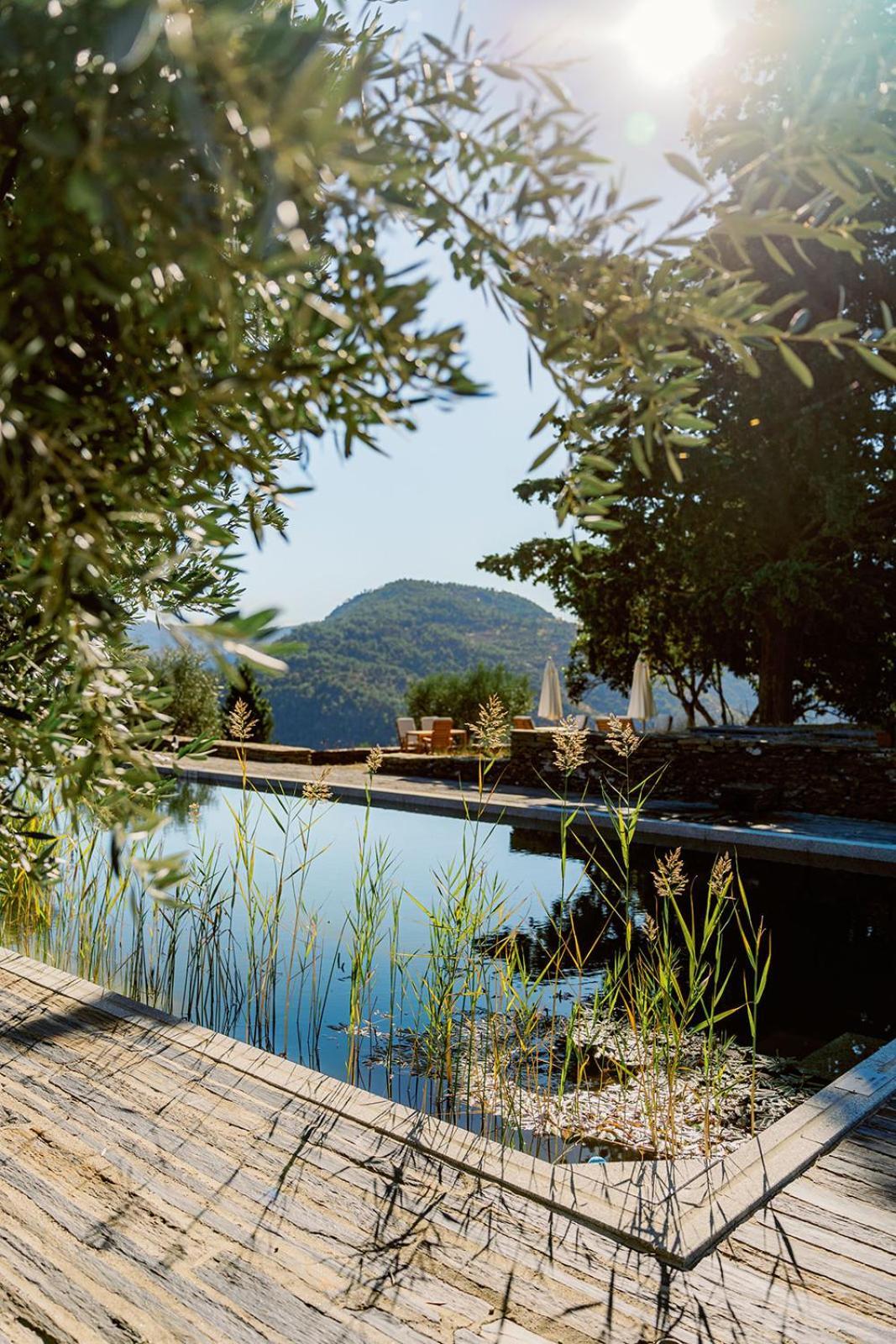 Quinta Vila Rachel - Winery Sao Mamede de Ribatua Εξωτερικό φωτογραφία