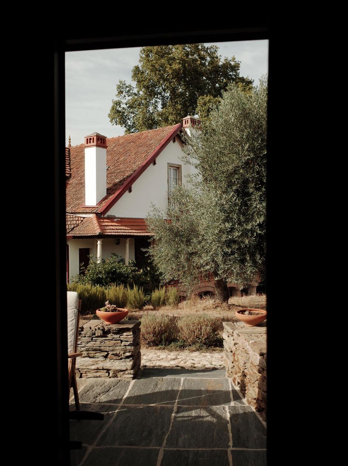 Quinta Vila Rachel - Winery Sao Mamede de Ribatua Εξωτερικό φωτογραφία